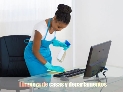 Servicio profesional